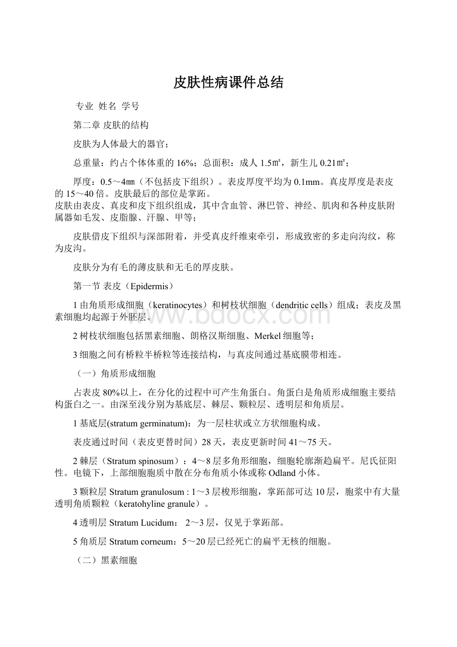 皮肤性病课件总结Word文档下载推荐.docx