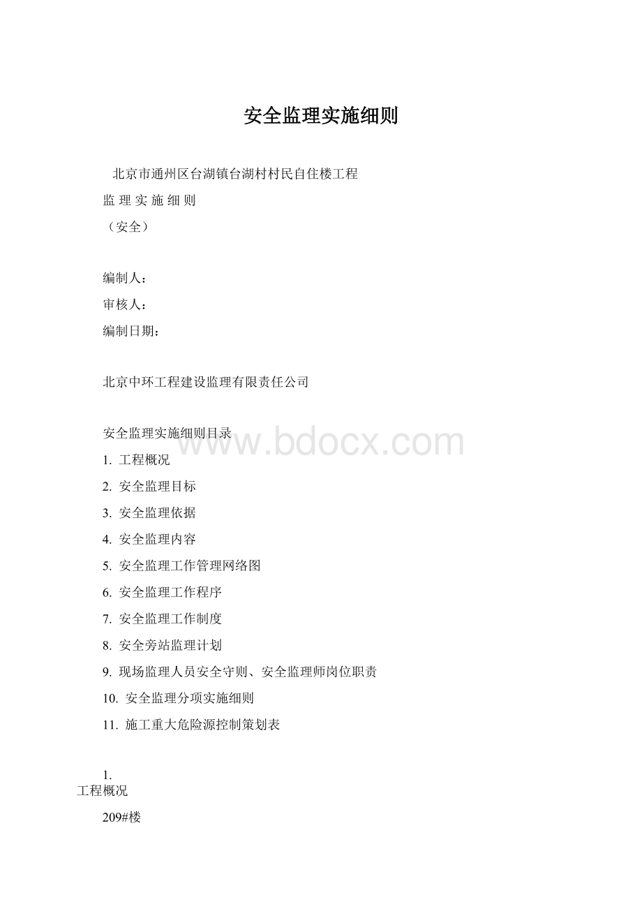 安全监理实施细则Word文档格式.docx