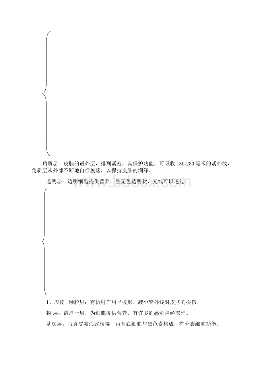 皮肤的专业知识文档格式.docx_第3页