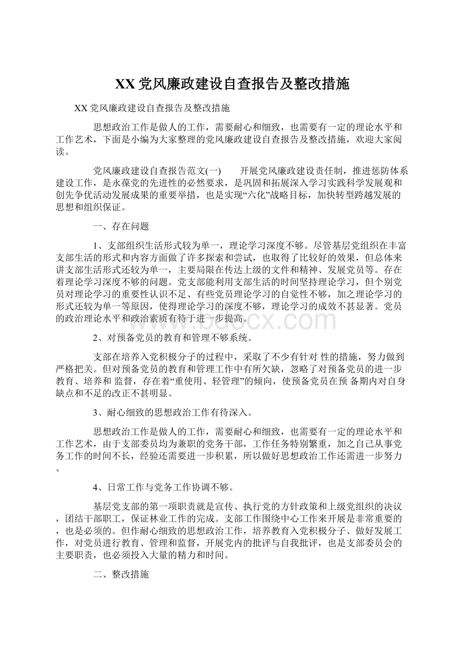 XX党风廉政建设自查报告及整改措施文档格式.docx