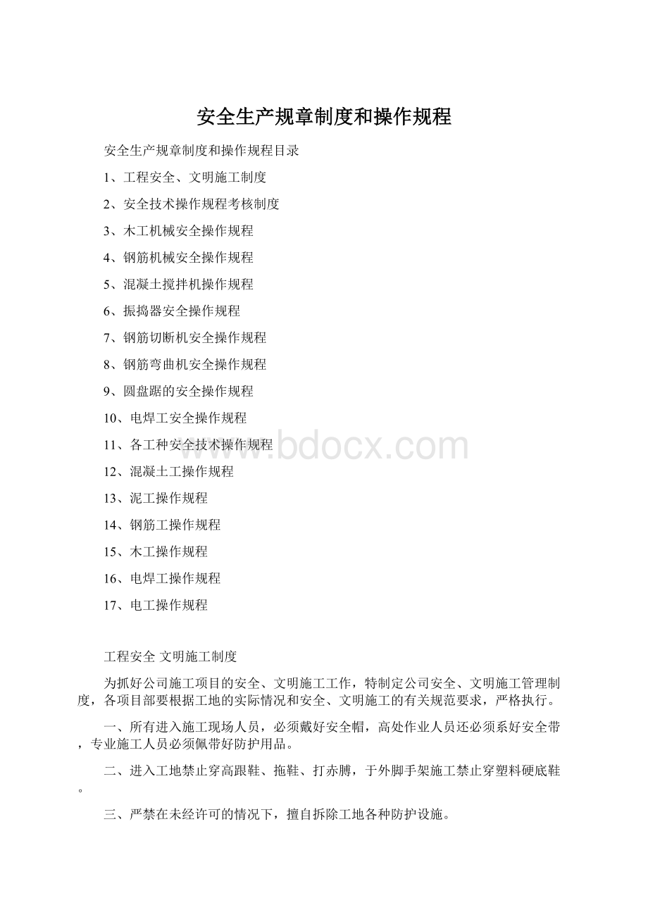 安全生产规章制度和操作规程文档格式.docx_第1页