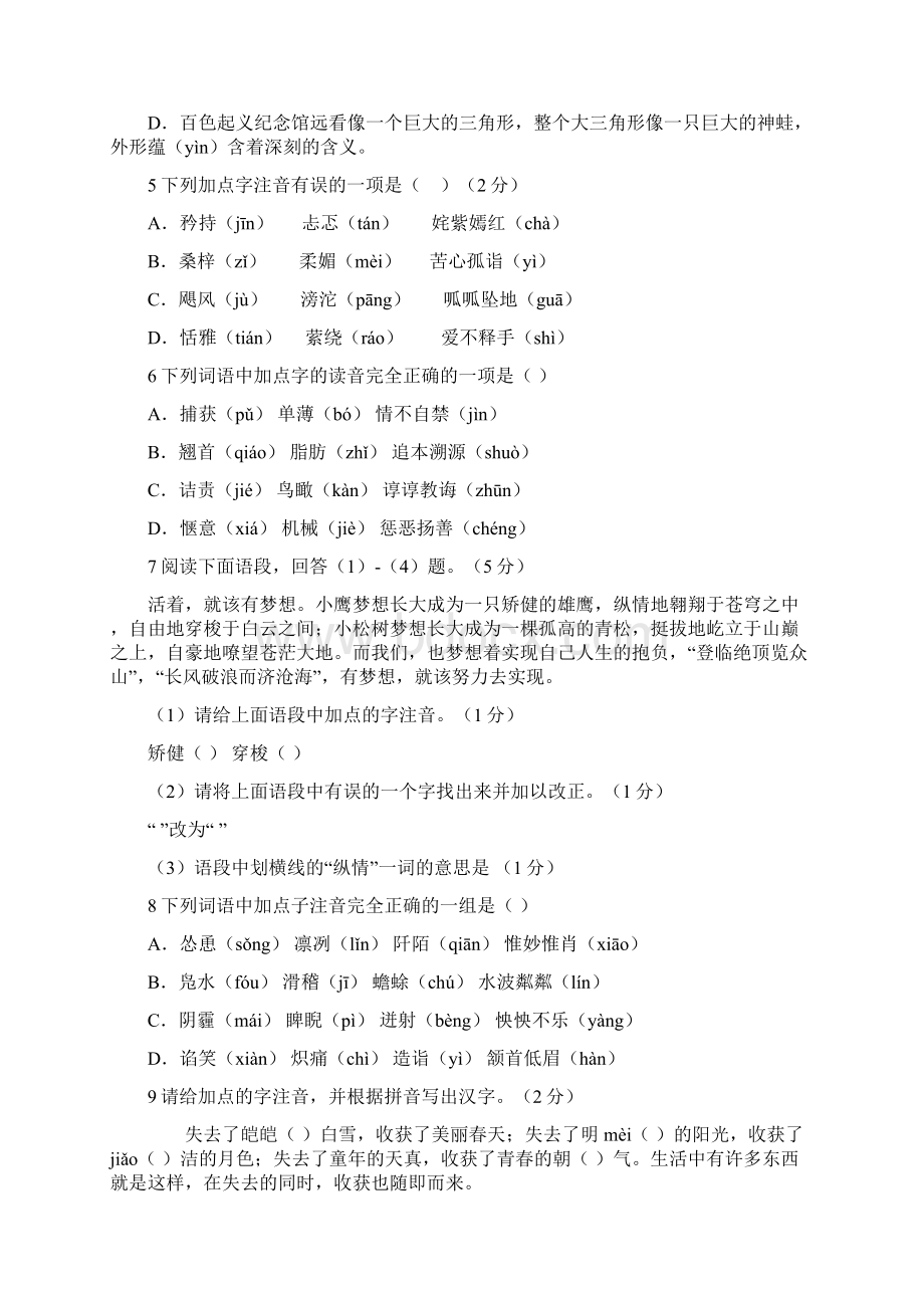 中考语文字音精炼Word格式文档下载.docx_第2页