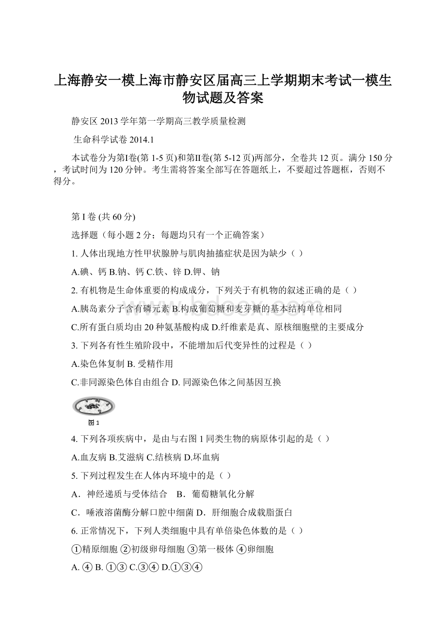 上海静安一模上海市静安区届高三上学期期末考试一模生物试题及答案Word文档下载推荐.docx_第1页