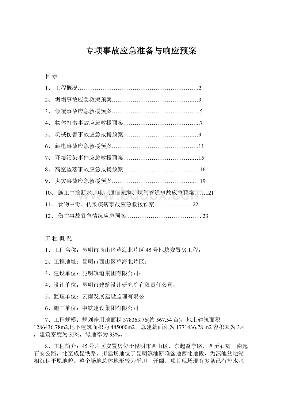 专项事故应急准备与响应预案Word文档下载推荐.docx_第1页