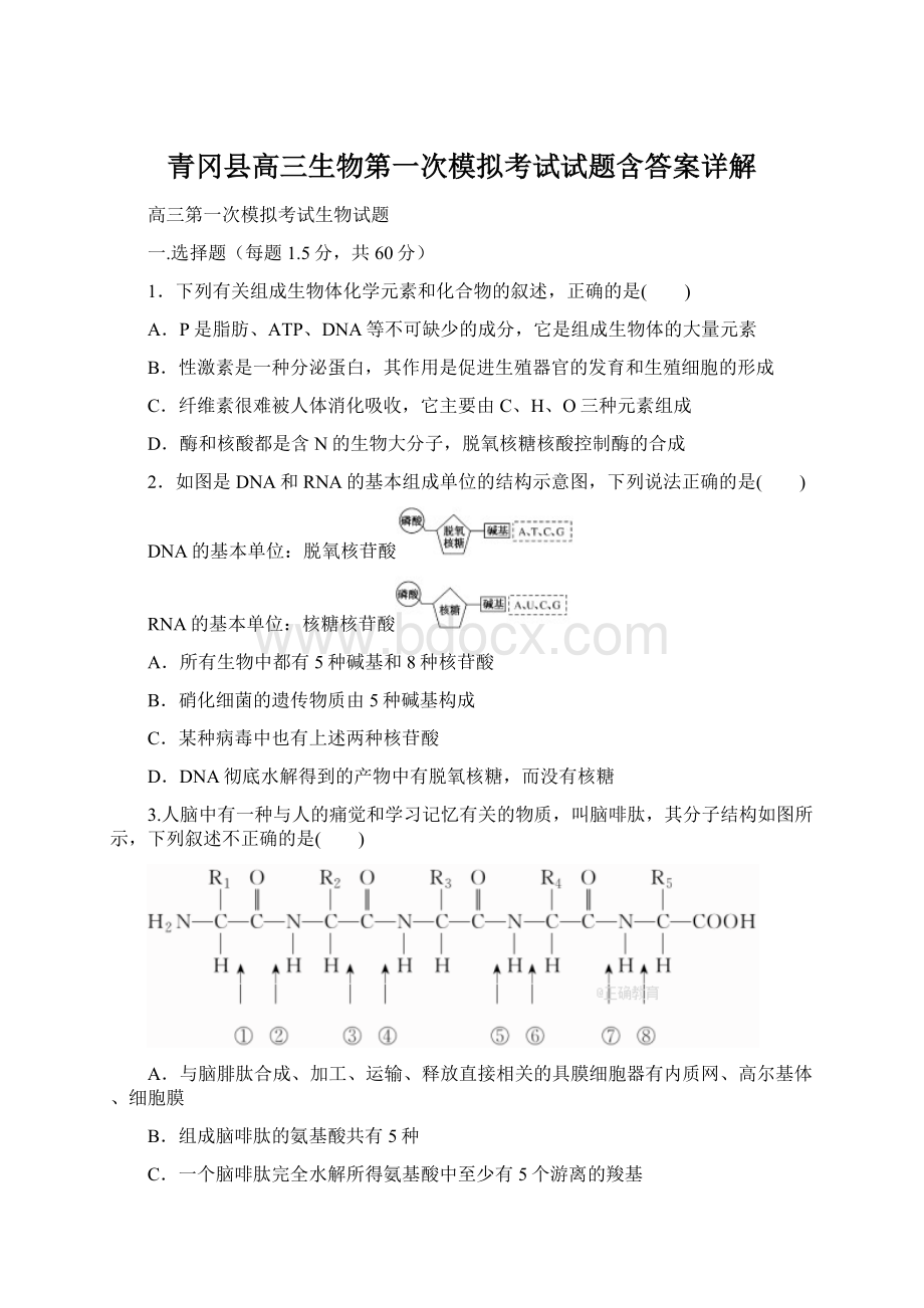 青冈县高三生物第一次模拟考试试题含答案详解Word下载.docx_第1页