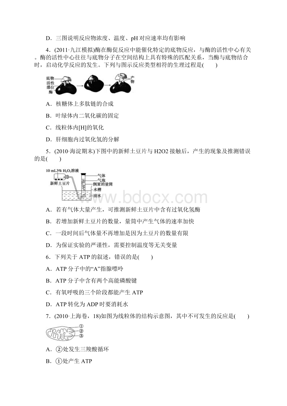 高考生物一轮单元检测 第3单元 细胞的能量供应和利用Word下载.docx_第2页