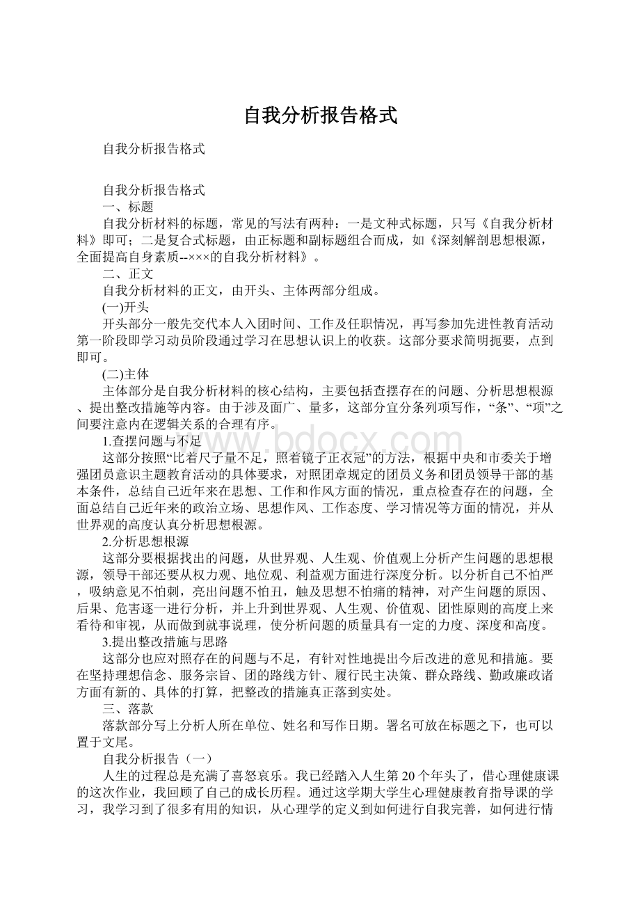 自我分析报告格式文档格式.docx