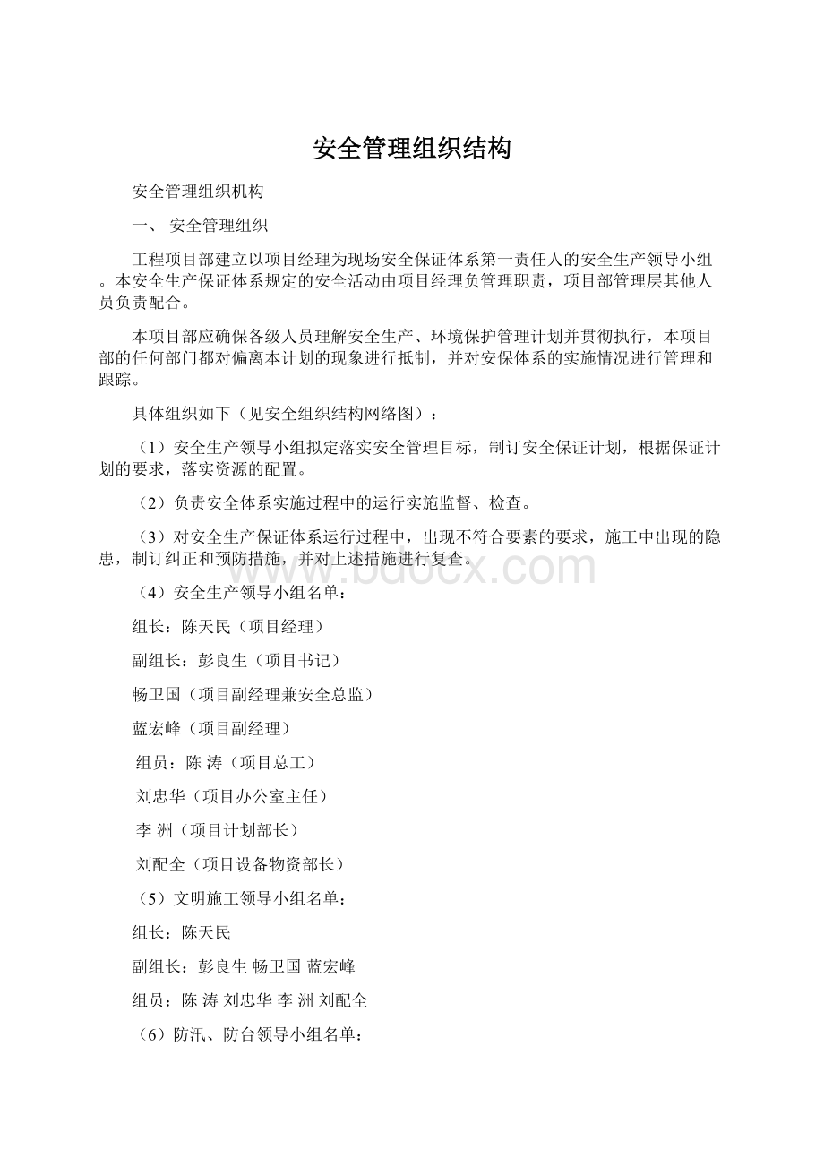 安全管理组织结构.docx_第1页