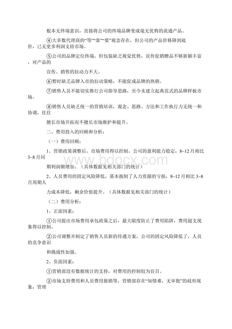 营销总监年度工作计划总结.docx_第2页