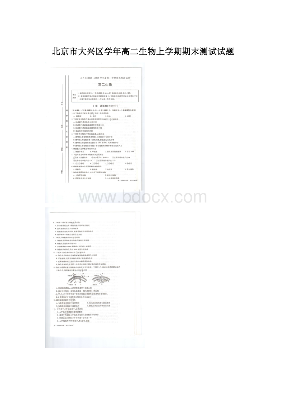 北京市大兴区学年高二生物上学期期末测试试题.docx