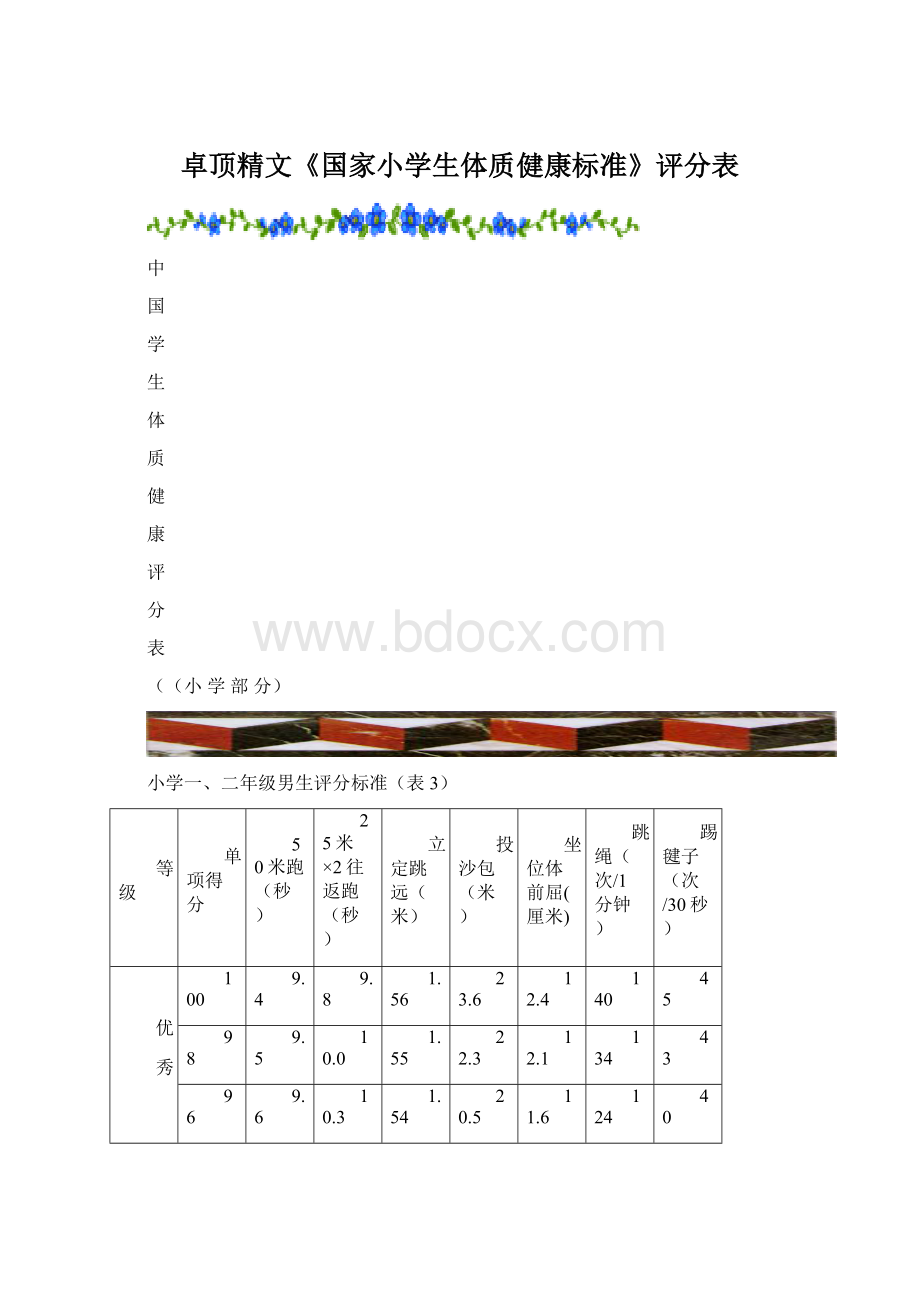 卓顶精文《国家小学生体质健康标准》评分表.docx