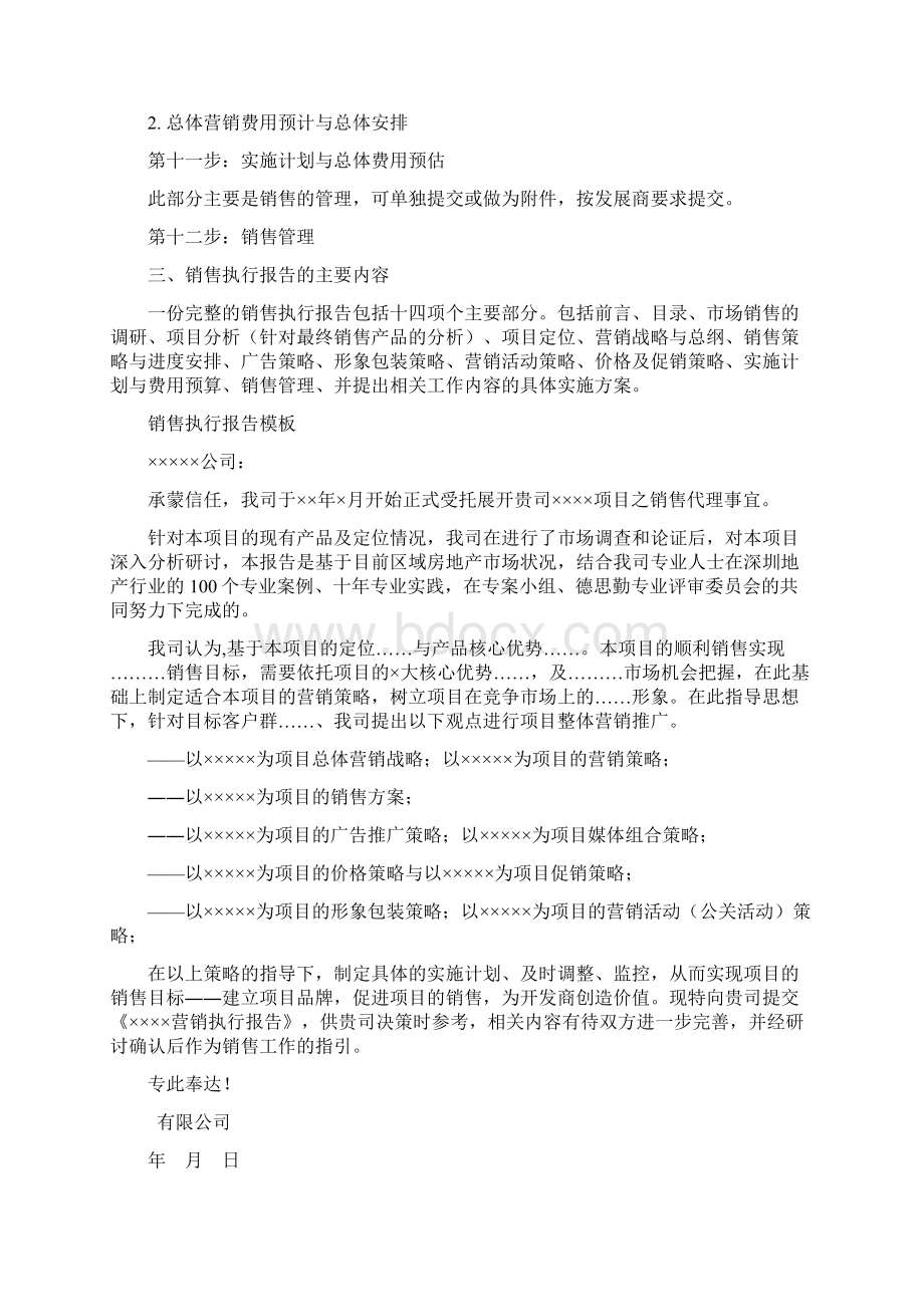 销售执行报告.docx_第3页