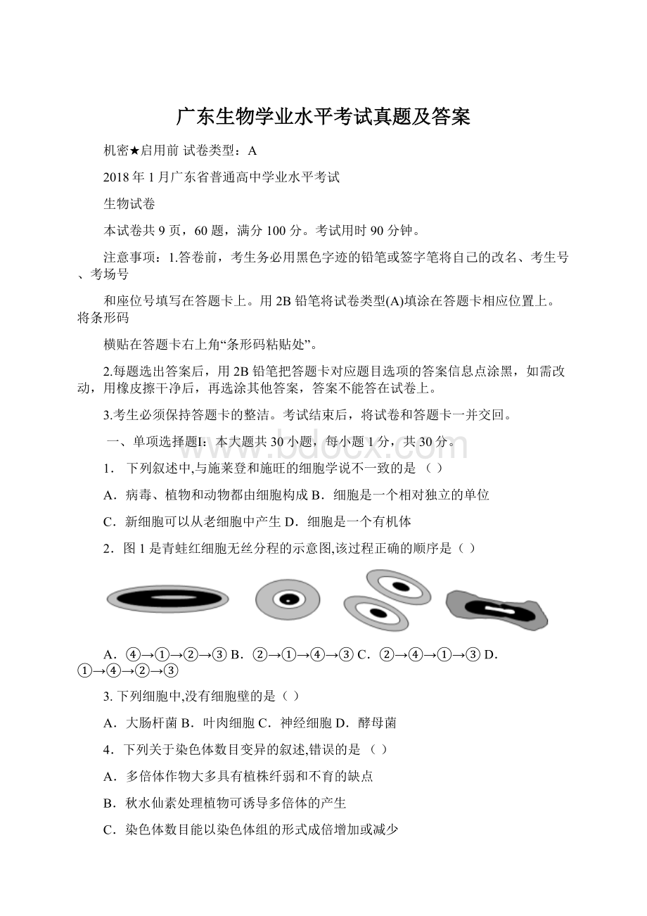 广东生物学业水平考试真题及答案Word文件下载.docx