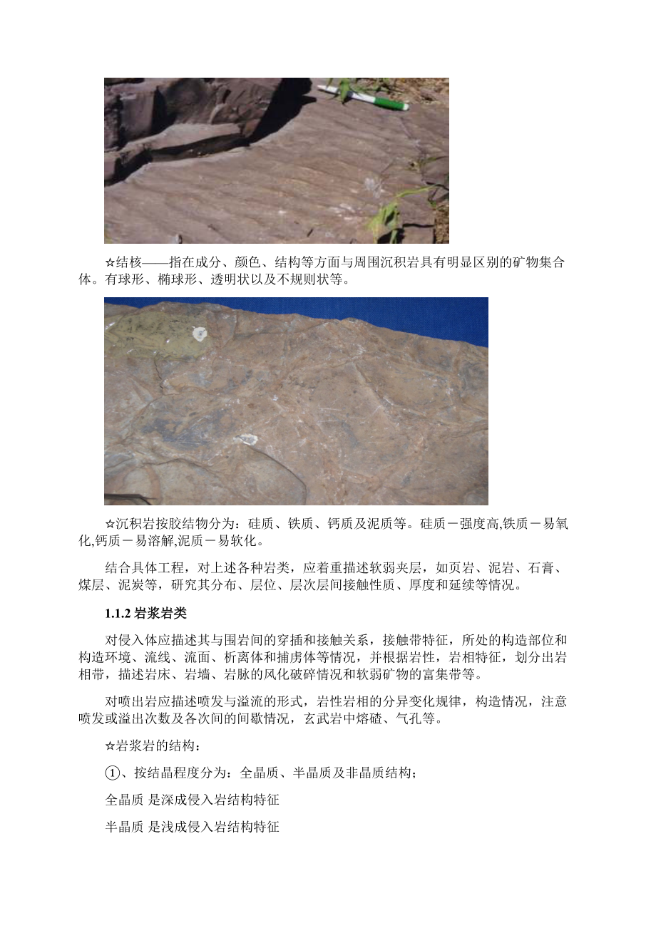 公路工程地质岩芯编录Word文件下载.docx_第3页