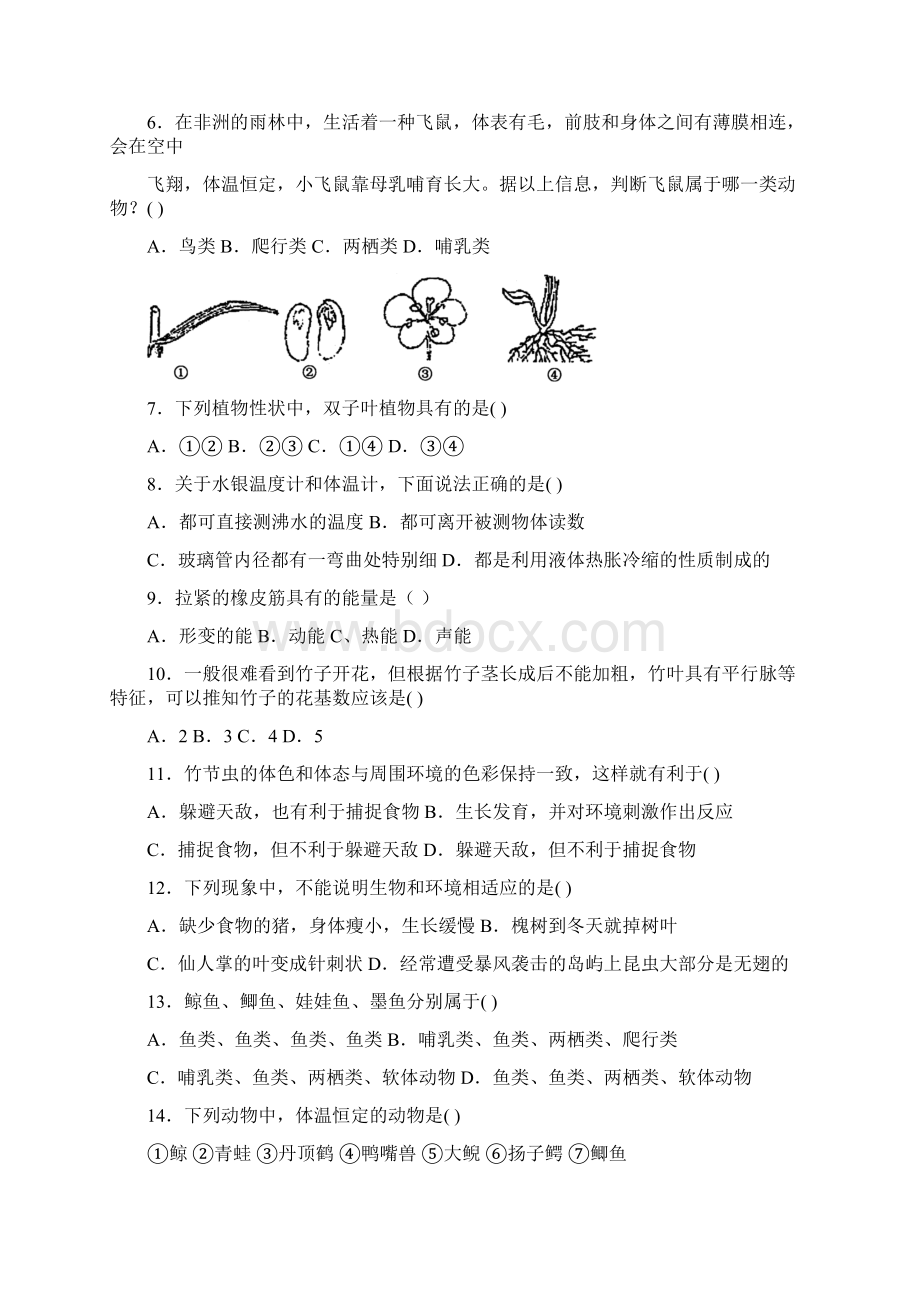 7上科学期中.docx_第2页