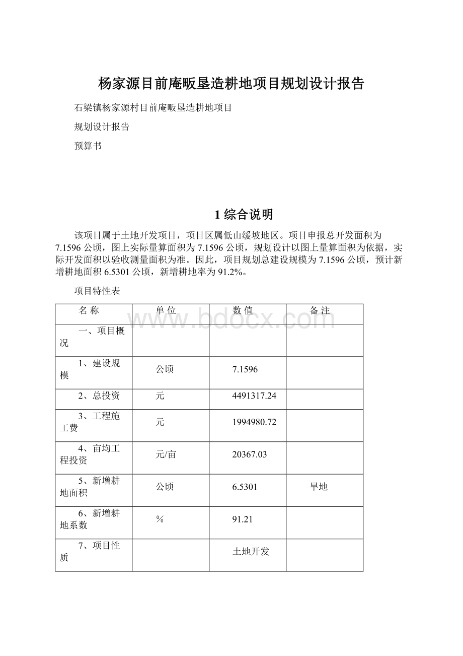 杨家源目前庵畈垦造耕地项目规划设计报告.docx