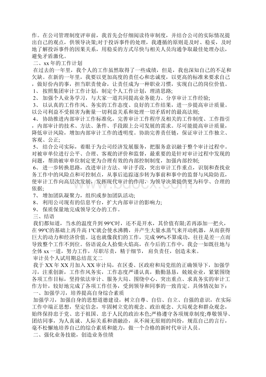 审计员个人试用期总结.docx_第3页