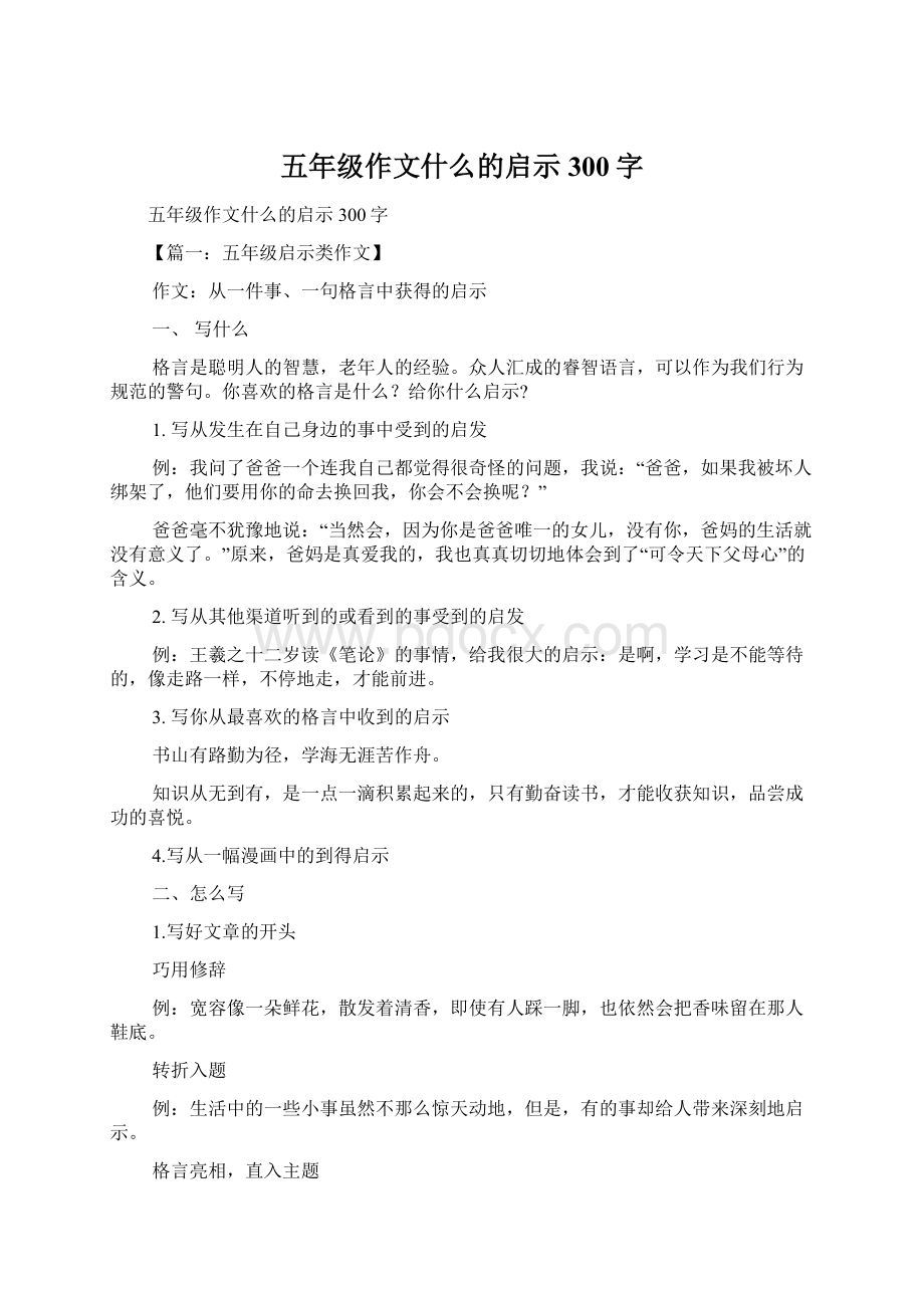 五年级作文什么的启示300字Word文档格式.docx