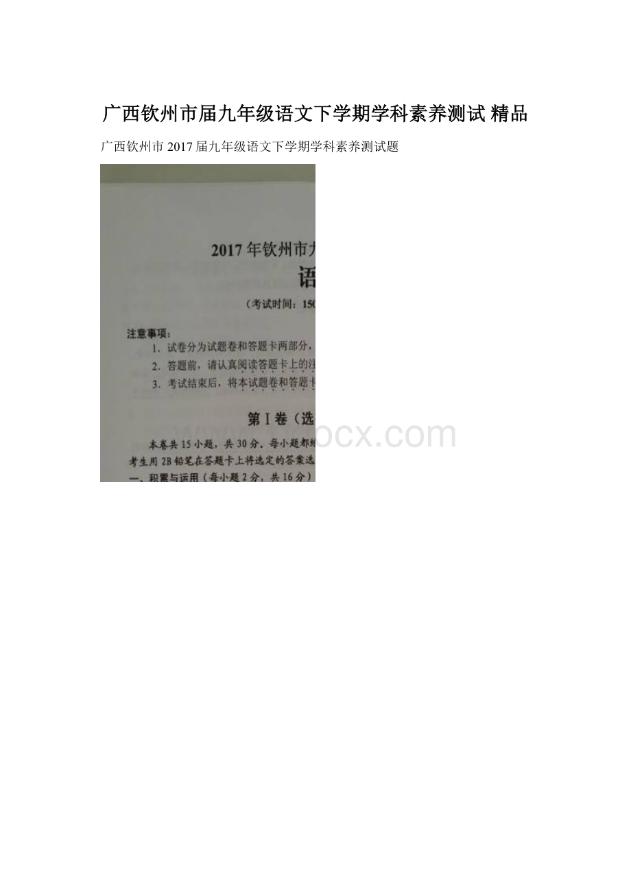 广西钦州市届九年级语文下学期学科素养测试 精品Word格式.docx