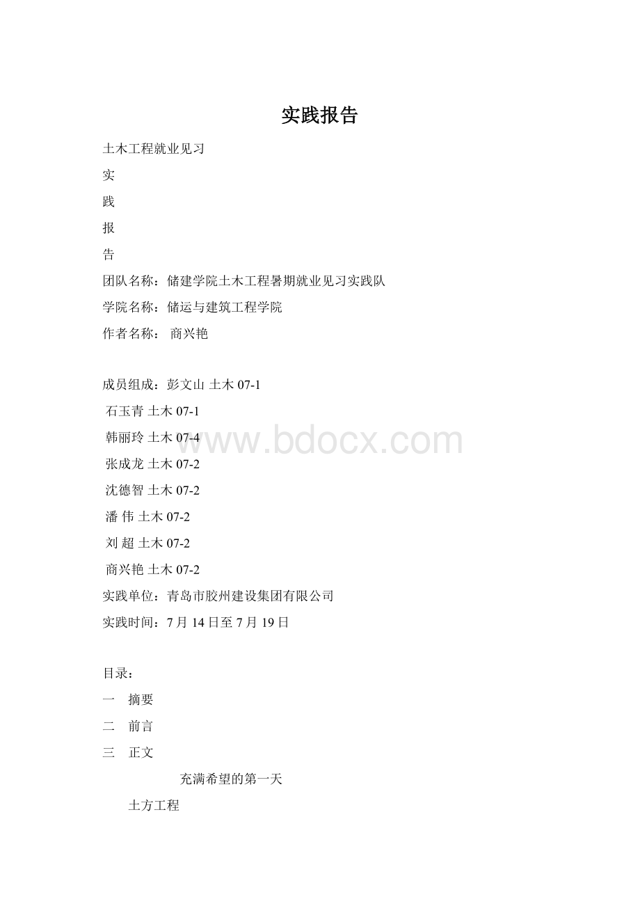 实践报告Word文档格式.docx