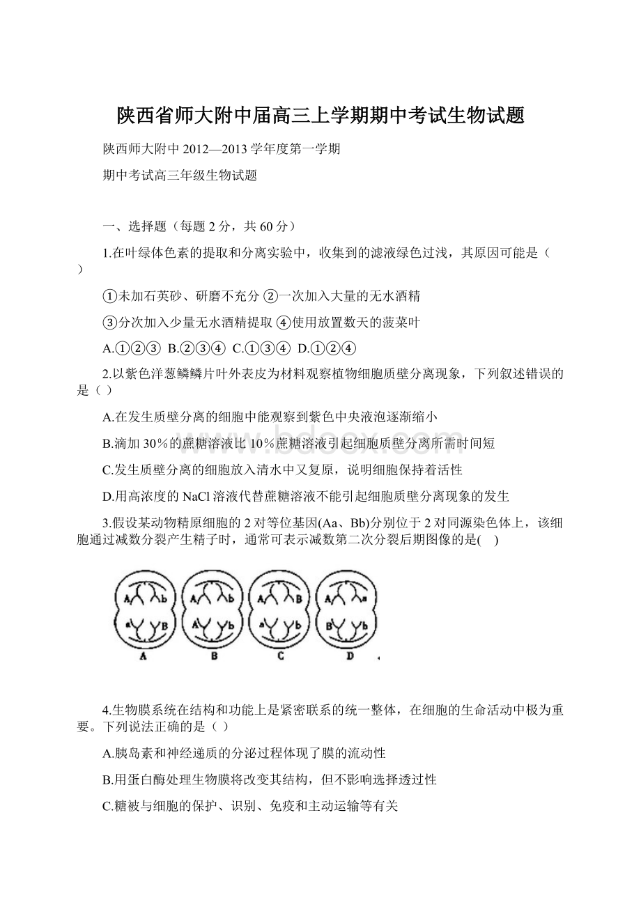 陕西省师大附中届高三上学期期中考试生物试题Word文档下载推荐.docx