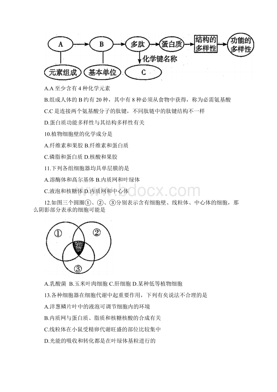 学年四川省乐山市高一上学期期末教学质量检测生物试题.docx_第3页