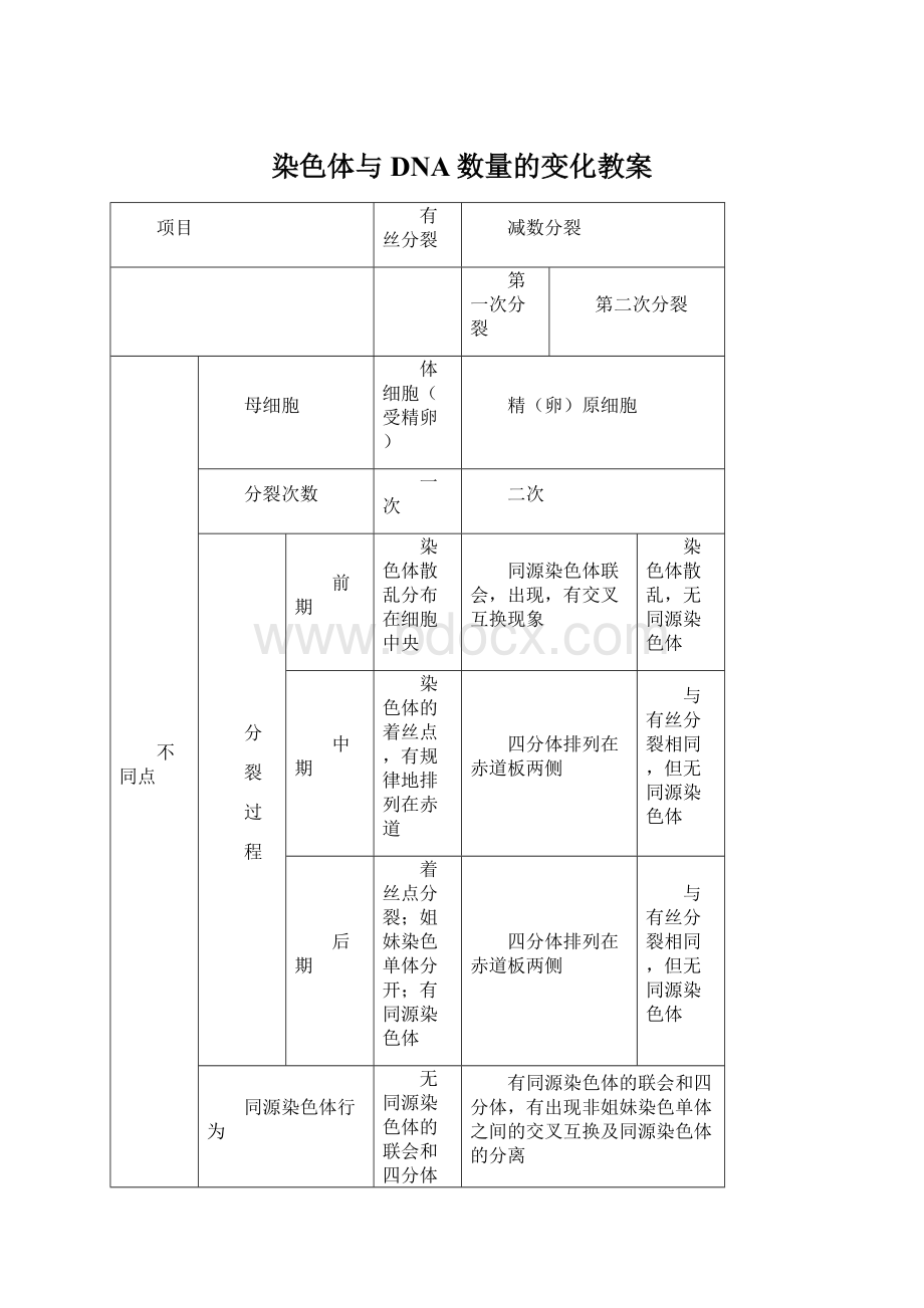 染色体与DNA数量的变化教案.docx_第1页