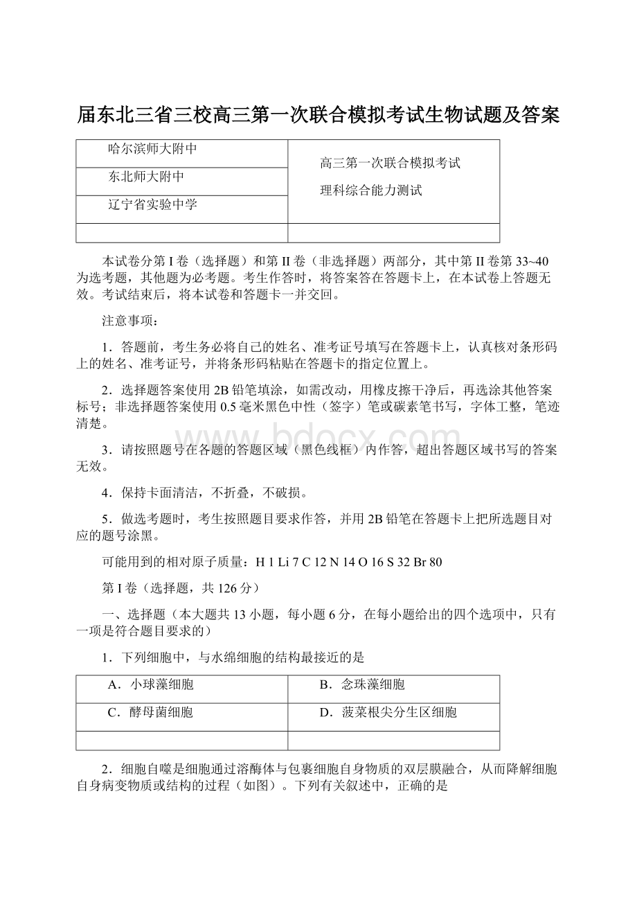 届东北三省三校高三第一次联合模拟考试生物试题及答案Word下载.docx_第1页