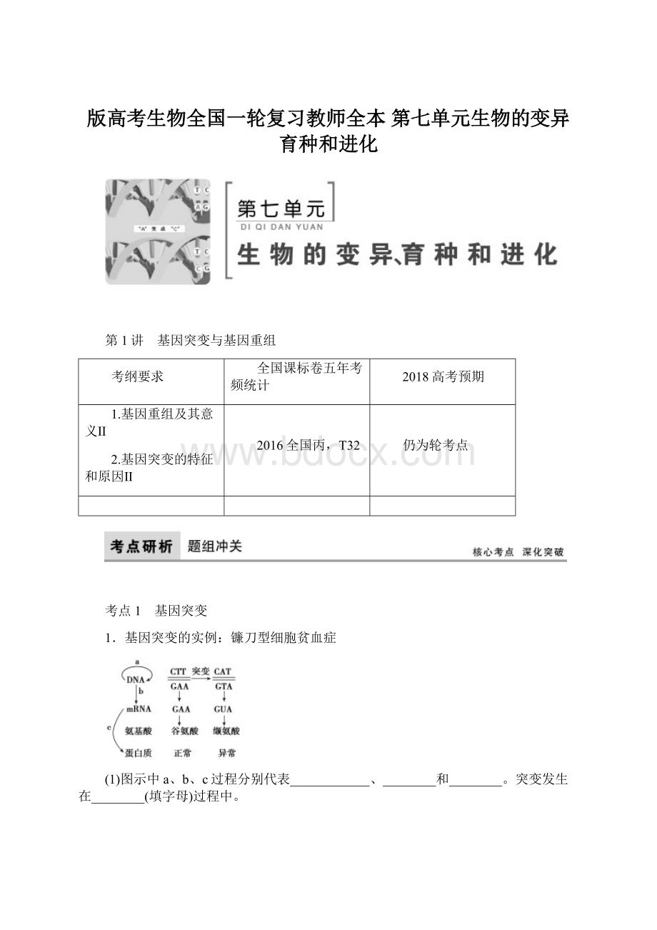 版高考生物全国一轮复习教师全本 第七单元生物的变异育种和进化Word文件下载.docx_第1页