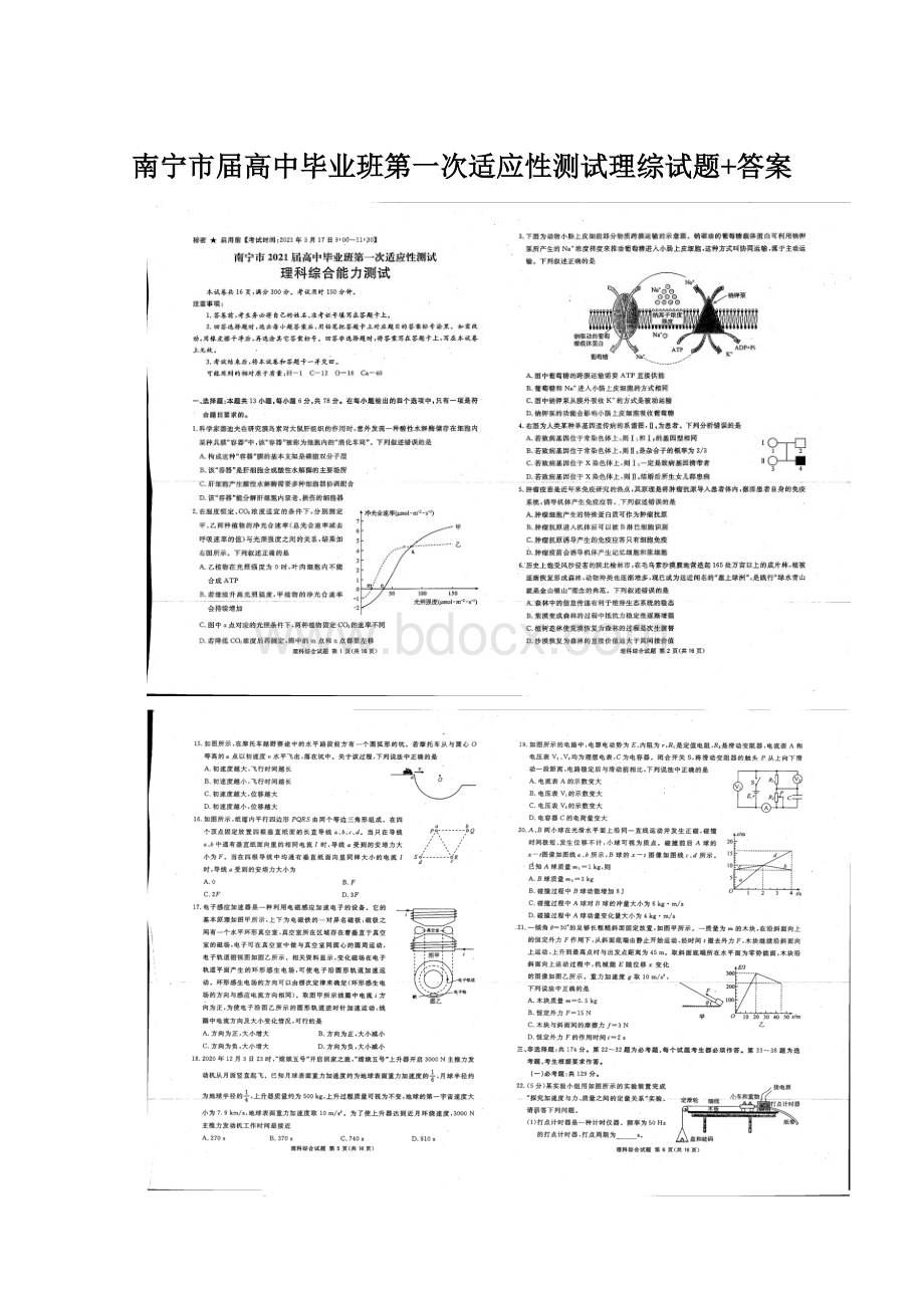 南宁市届高中毕业班第一次适应性测试理综试题+答案.docx