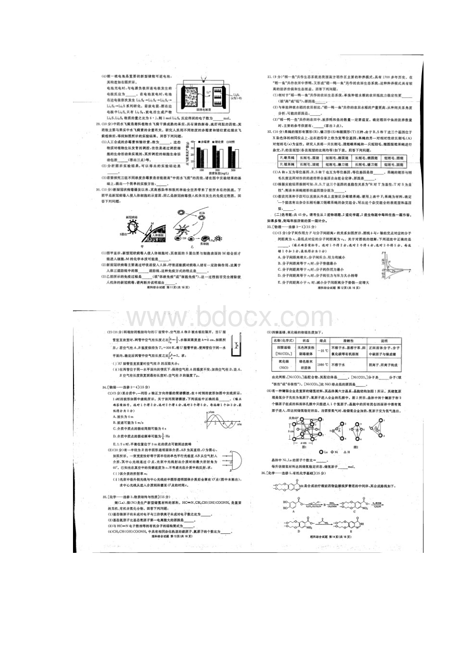 南宁市届高中毕业班第一次适应性测试理综试题+答案.docx_第3页