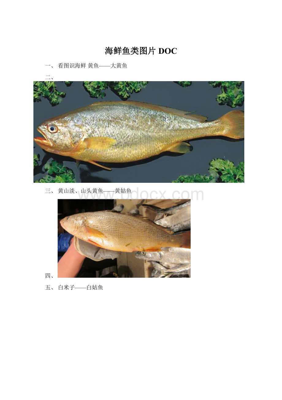 海鲜鱼类图片DOCWord下载.docx_第1页