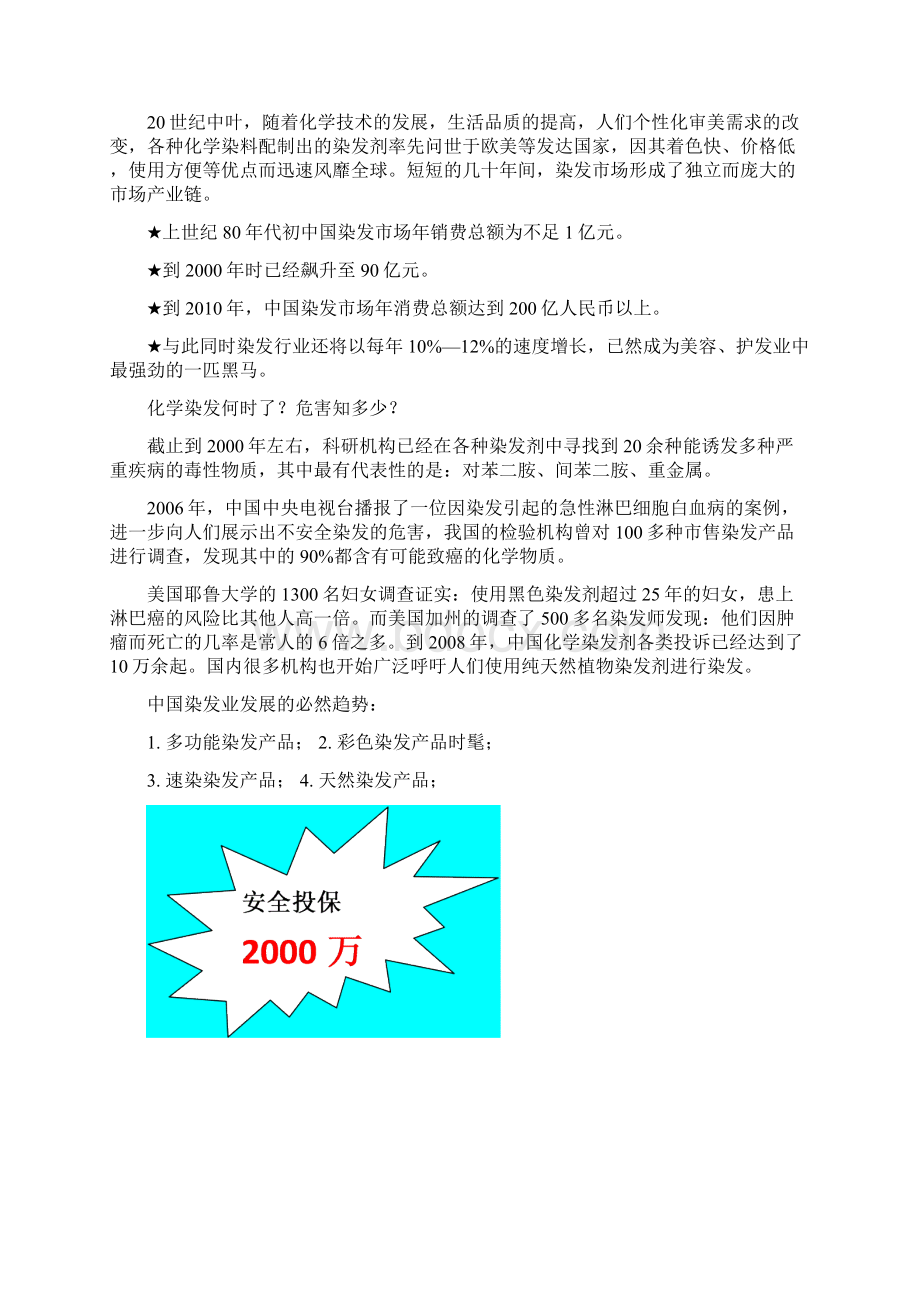 XX品牌艳彩染发产品上市推广营销策划方案Word文件下载.docx_第2页