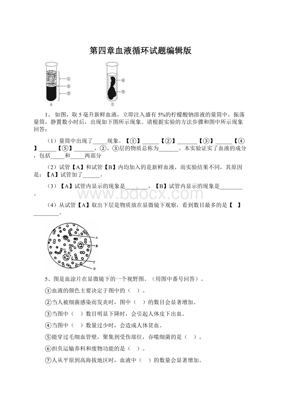 第四章血液循环试题编辑版Word格式文档下载.docx