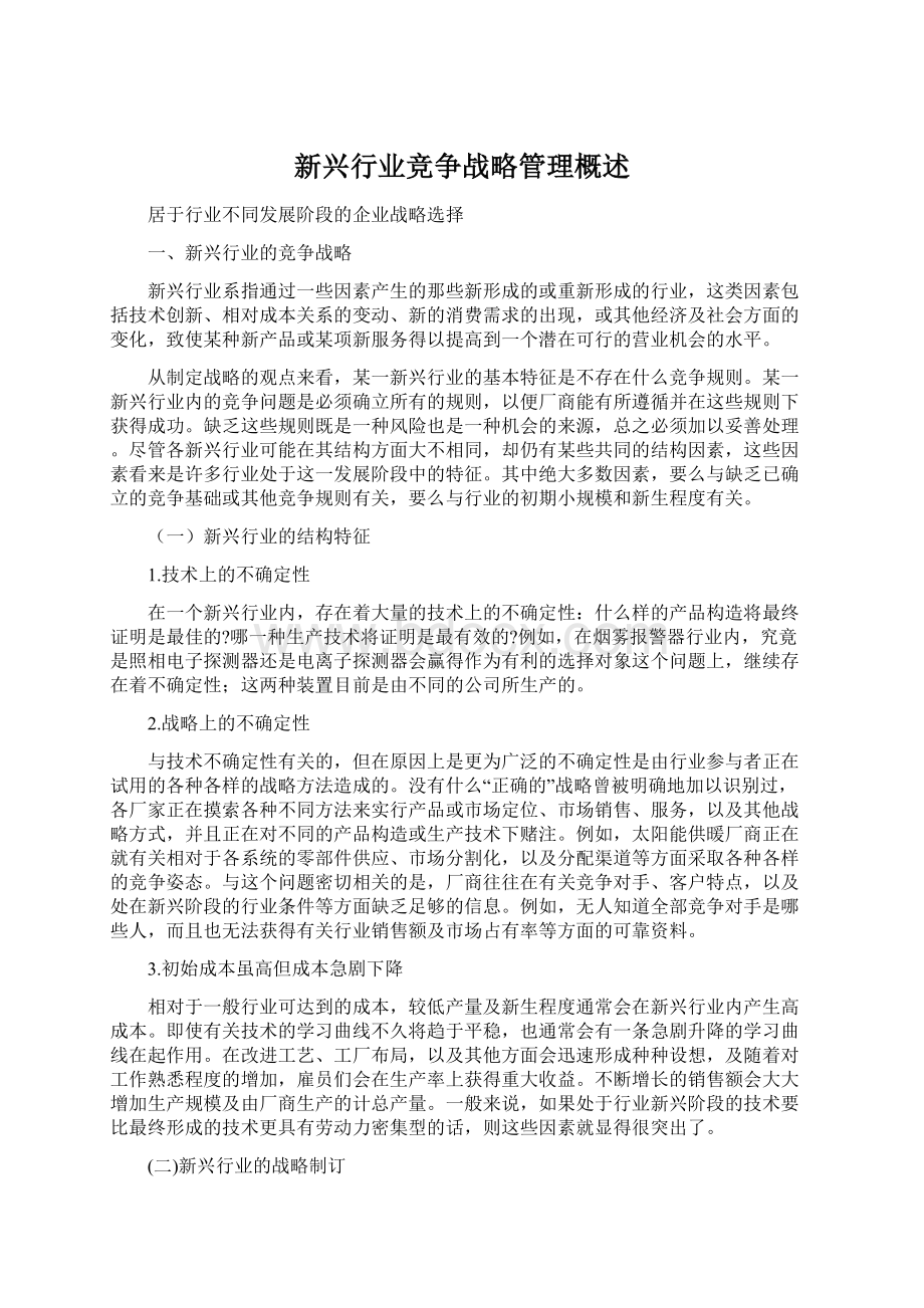 新兴行业竞争战略管理概述文档格式.docx_第1页