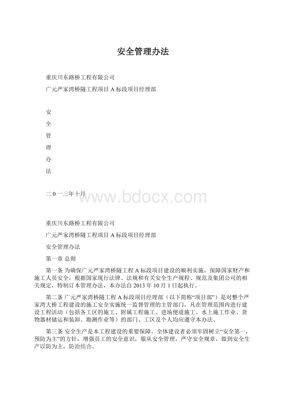 安全管理办法.docx