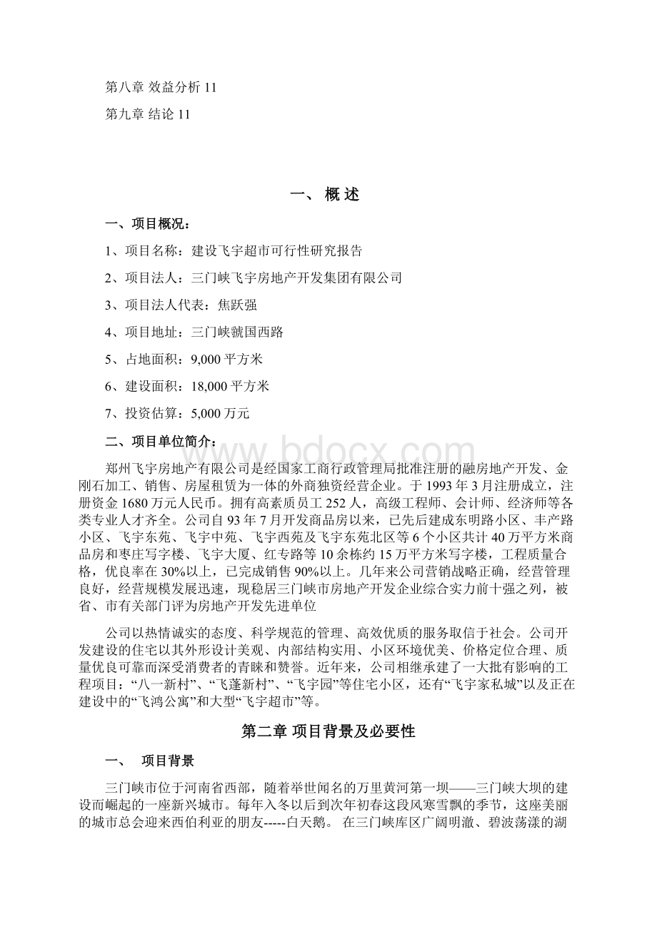 可行性报告 模板文档格式.docx_第2页