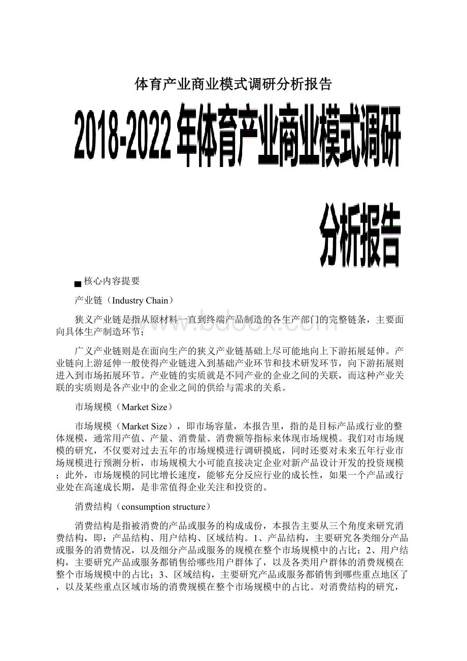 体育产业商业模式调研分析报告.docx