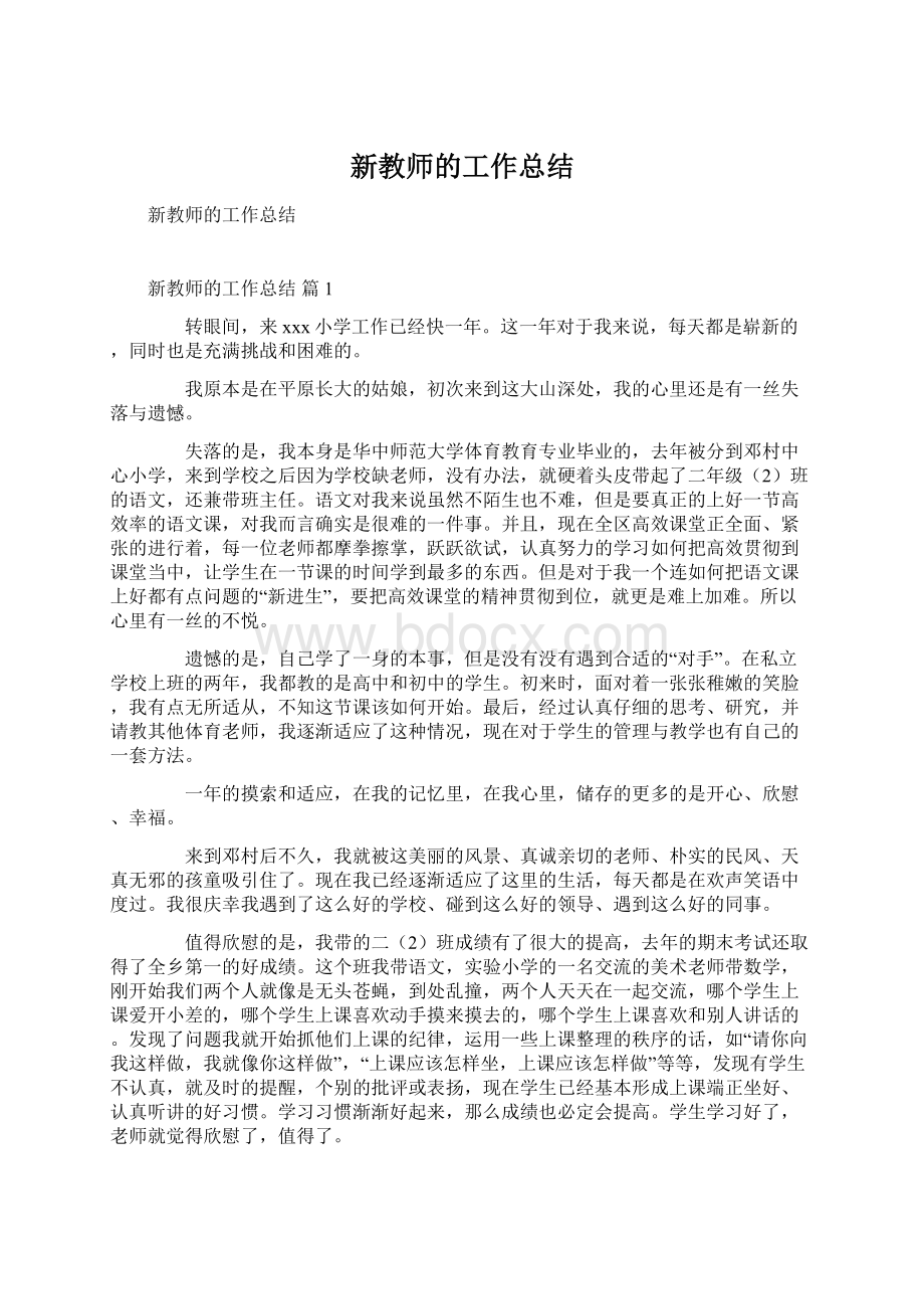 新教师的工作总结.docx