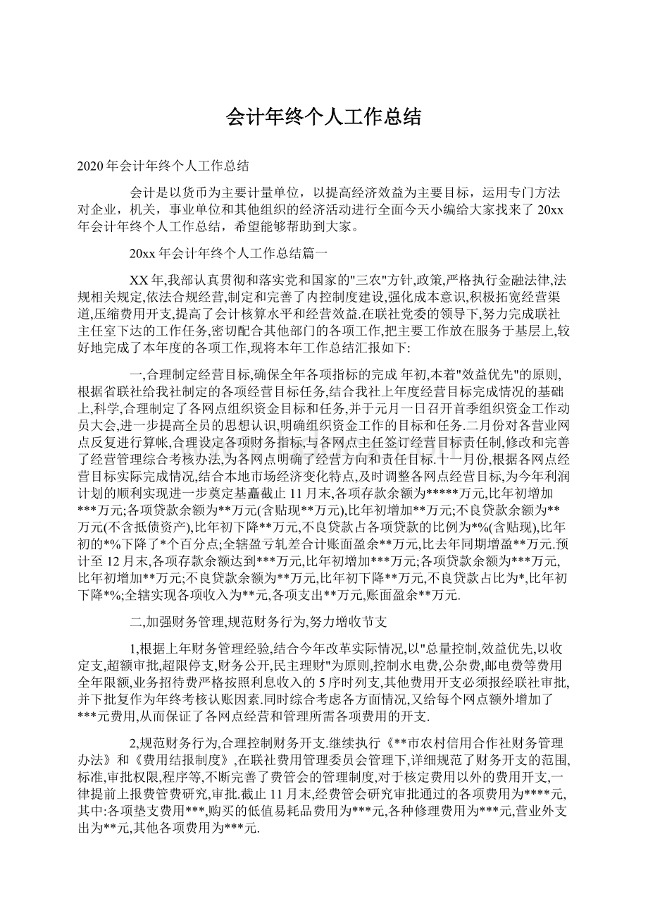 会计年终个人工作总结.docx