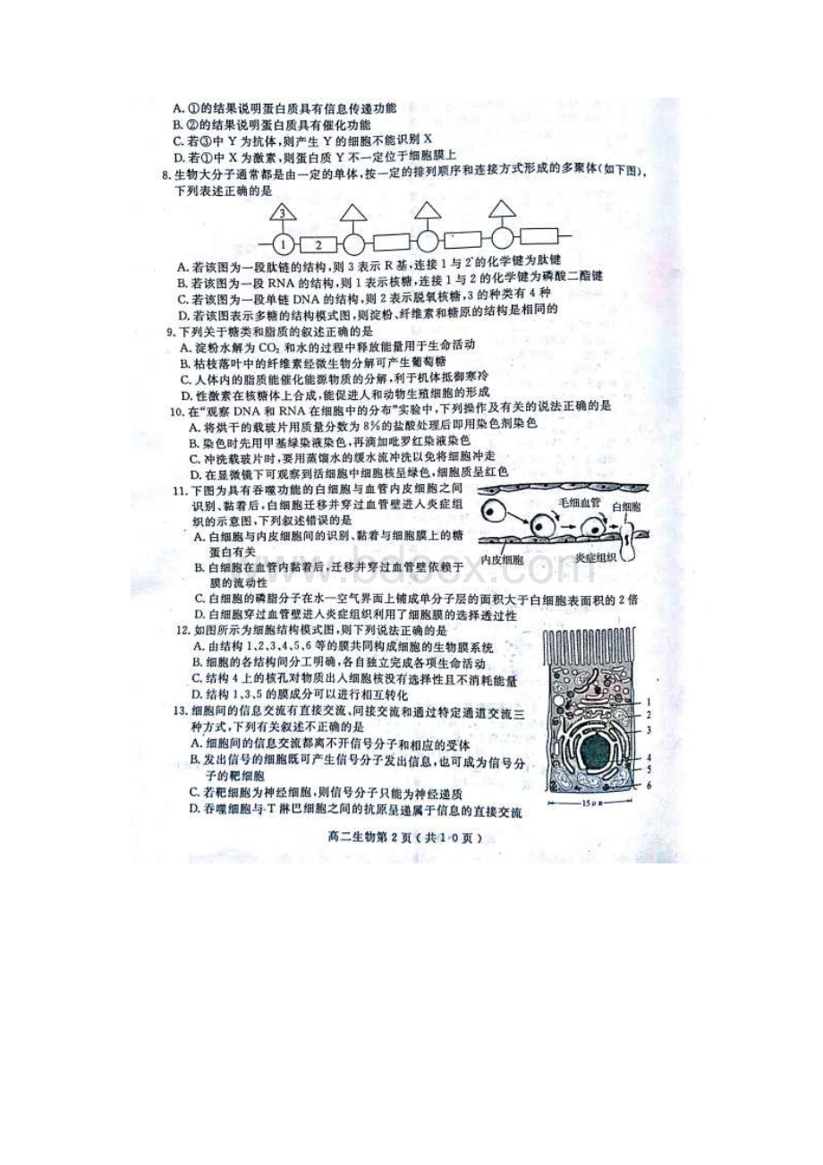 学年湖北省黄冈市高二下学期期末考试生物试题 扫描版.docx_第2页