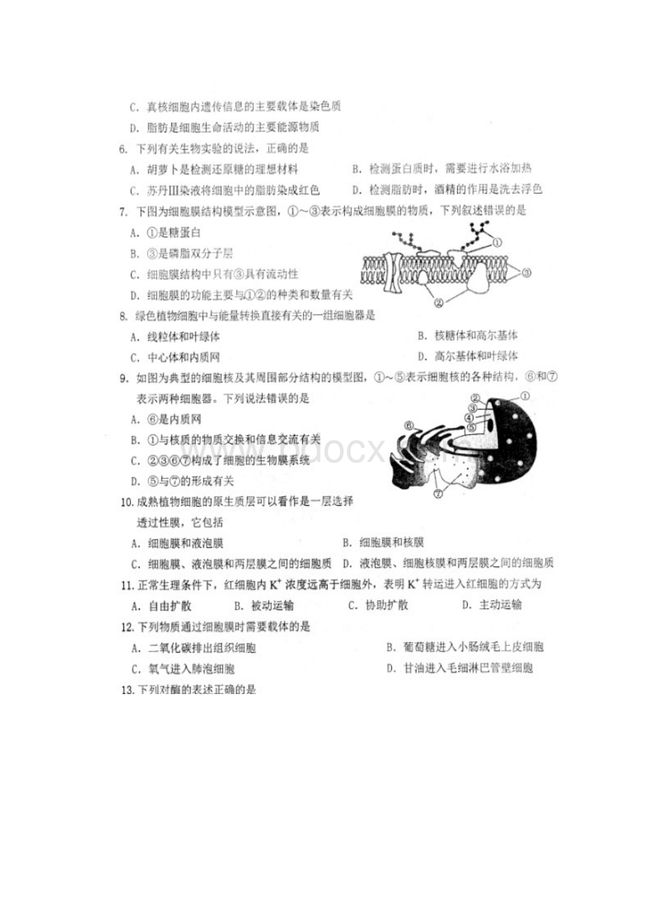 天津市滨海新区学年高一上学期期末检测试题生物 扫描版.docx_第2页