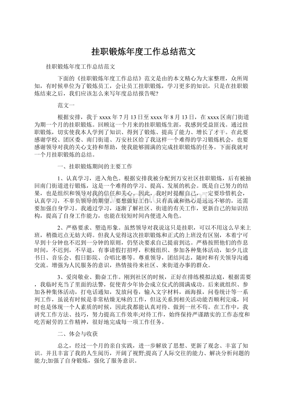 挂职锻炼年度工作总结范文.docx