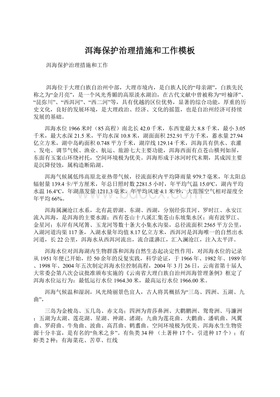 洱海保护治理措施和工作模板文档格式.docx