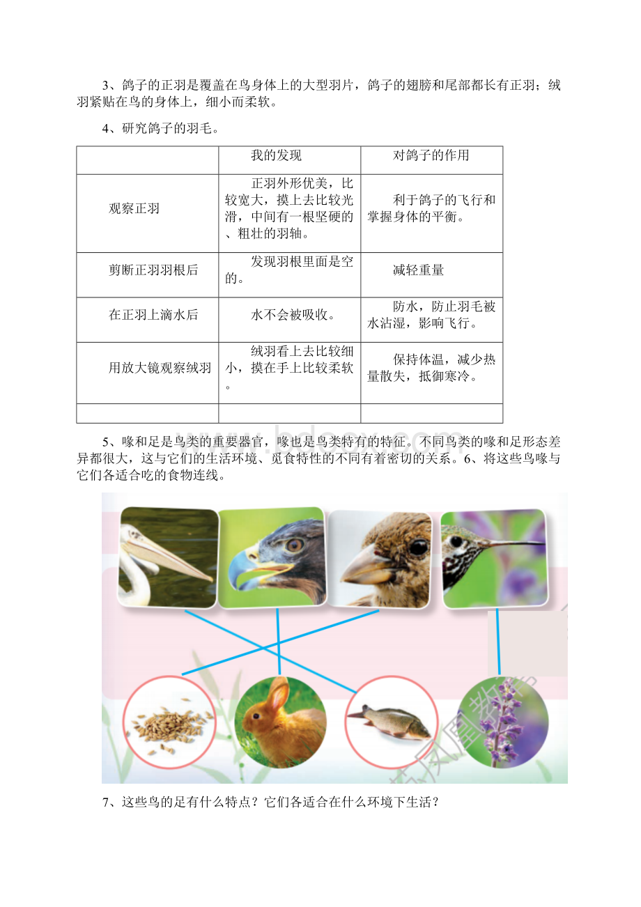 新苏教版四年级上册科学全册知识点整理.docx_第3页