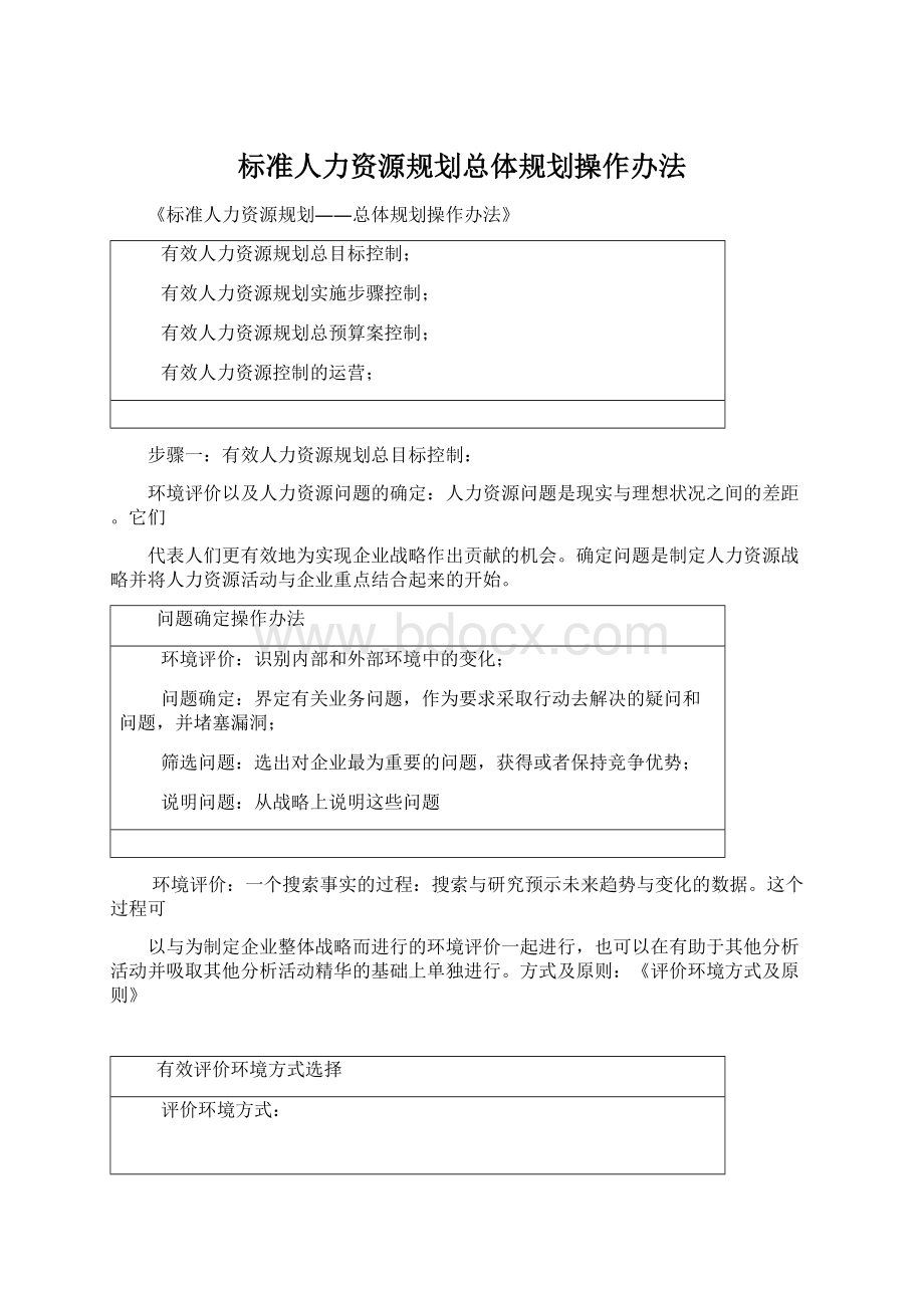 标准人力资源规划总体规划操作办法文档格式.docx_第1页