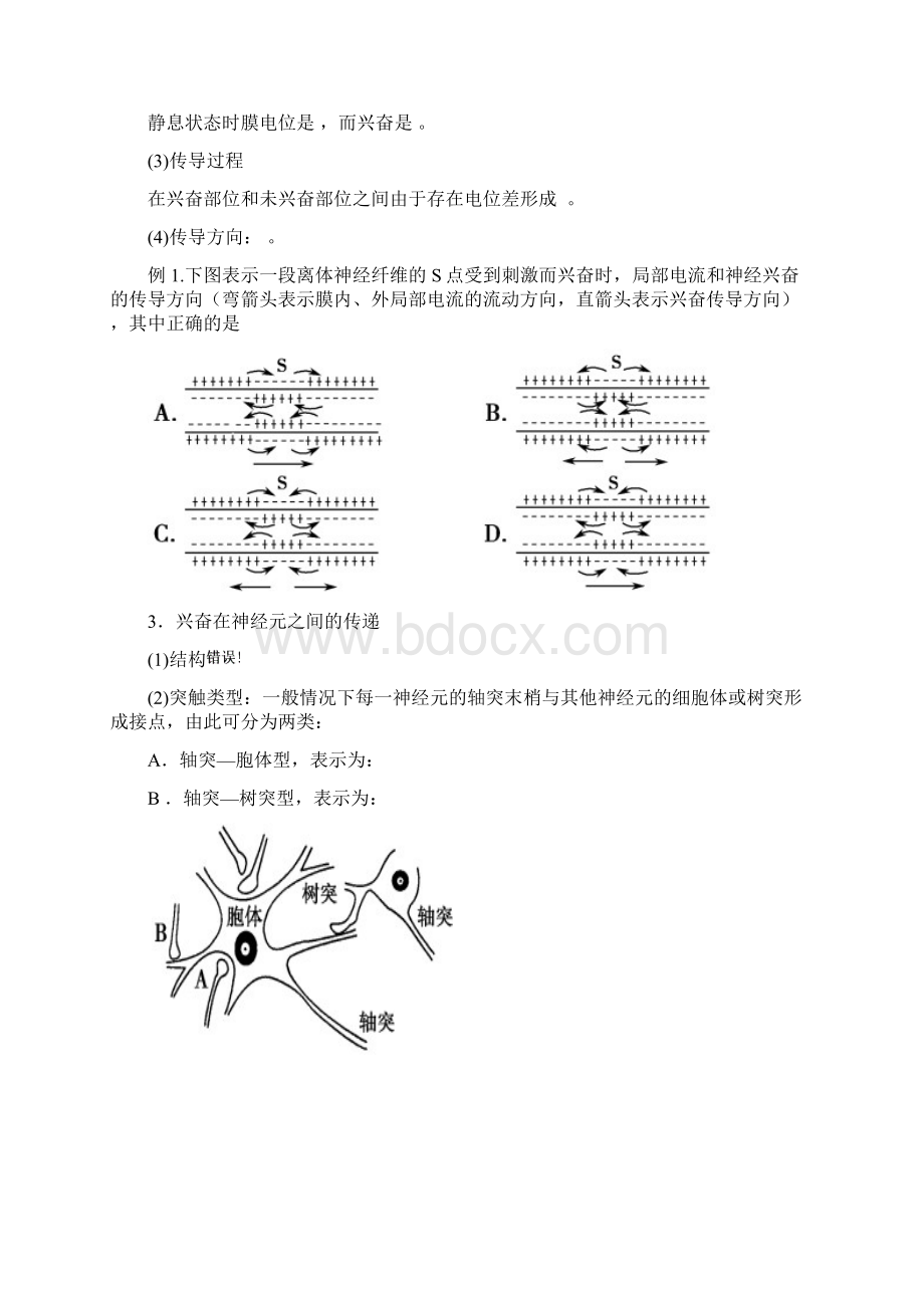 高三一轮复习通过神经系统的调节学案Word格式.docx_第3页