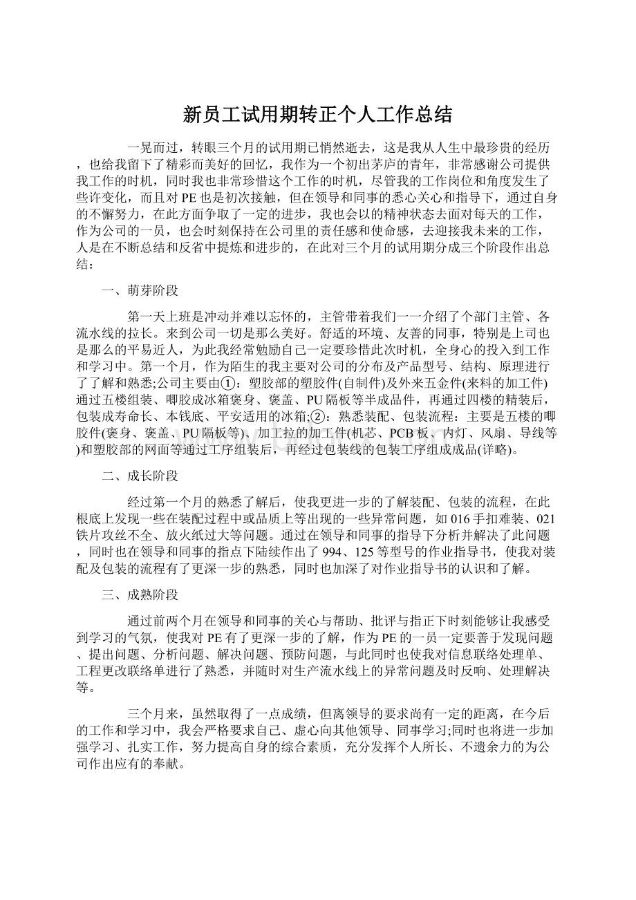 新员工试用期转正个人工作总结.docx_第1页