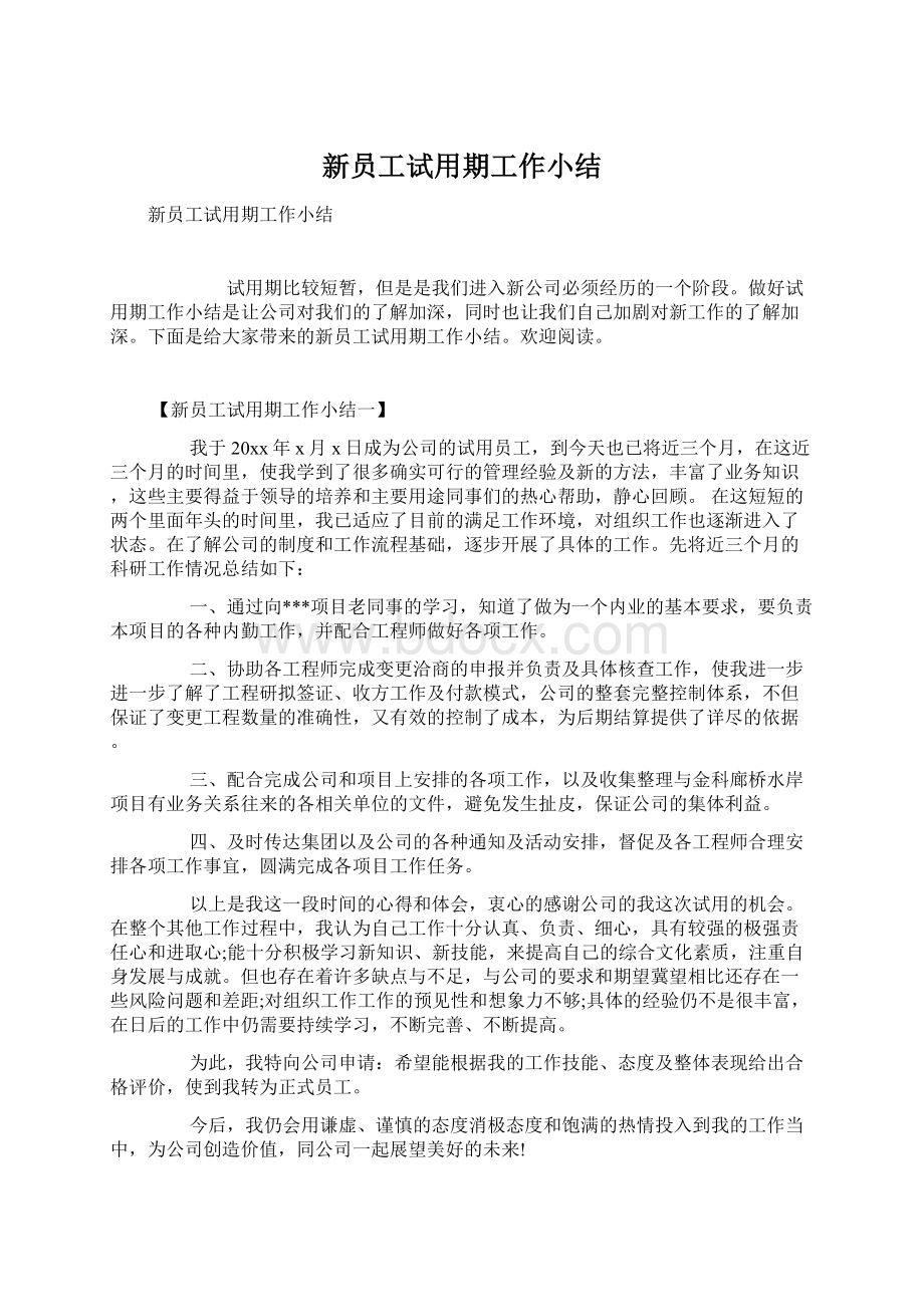 新员工试用期工作小结Word文档下载推荐.docx