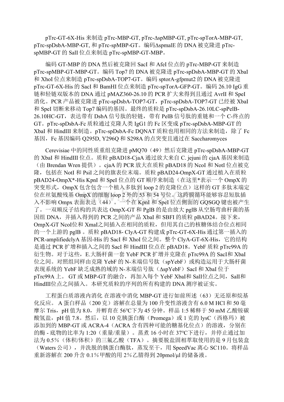 大肠杆菌中胞外分泌N糖蛋白的生产Word文档下载推荐.docx_第3页